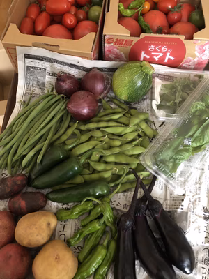 みんなの投稿の画像