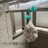みかん堆肥の生ニンニクセット【2Lサイズ以上】(赤ニンニク)