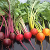 ビーツ３種