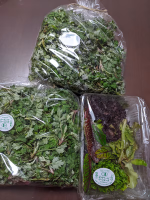 みんなの投稿の画像