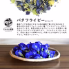 有機バタフライピー茶 10袋