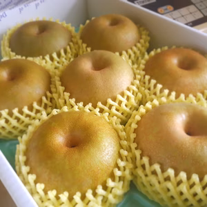 A3【贈答用】 甘汁た～っぷり、幸水梨３キロ箱(6～9玉)