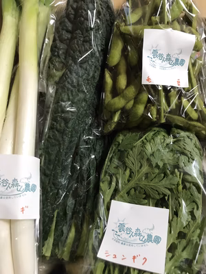 みんなの投稿の画像