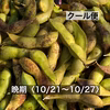 ‘22年〈晩期〉クール便•丹波篠山黒枝豆さや 10/21(金)〜10/27(木)