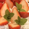 【摘みたてお届け】スペアミント☆ハーブティーやデザート飾りに！