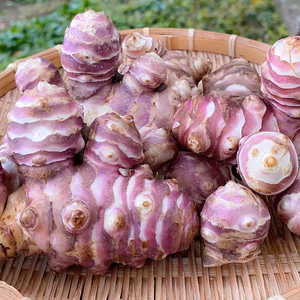 【掘りたてをお届け！】紅きくいも 宮城県産 無農薬栽培 500g~