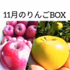 【ご好評につき第4弾！】旬のりんご食べ比べBOX♪