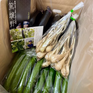 【期間限定】胡瓜と茄子と島らっきょのセット　５ｋｇ