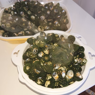 みんなの投稿の画像