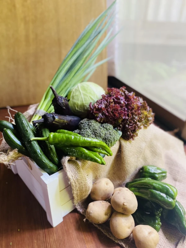 京都から旬の野菜を詰め合わせ野菜セット　