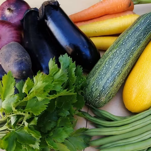 【今おいしいが詰まってる！】季節の野菜セット