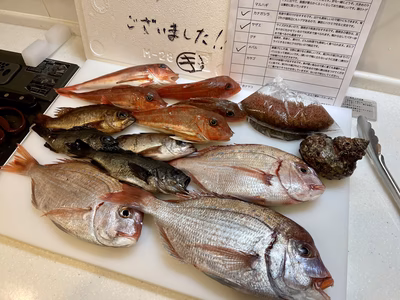 みんなの投稿の画像