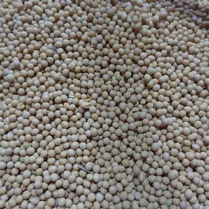 味噌、豆腐作り、豆乳、蒸し大豆、手作りきな粉に最適 大豆1kg 北海道産