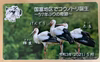 コウノトリ誕生記念　「幸せを運ぶお米」こしひかり２ｋｇ