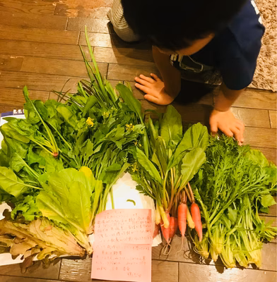 みんなの投稿の画像