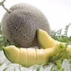 上質な甘さレノンハートメロン1個とペルルメロン1個のセット