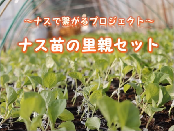 【第1回チャレンジアワード特別賞商品】ナス苗里親プログラム