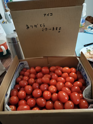 みんなの投稿の画像