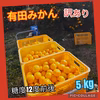 有田みかん　訳あり　5kg　※北海道・沖縄 不可です。送料無料(´ε｀ )