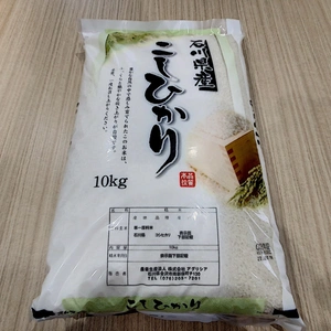【石川県より直送！コシヒカリ米】10kg（精米）