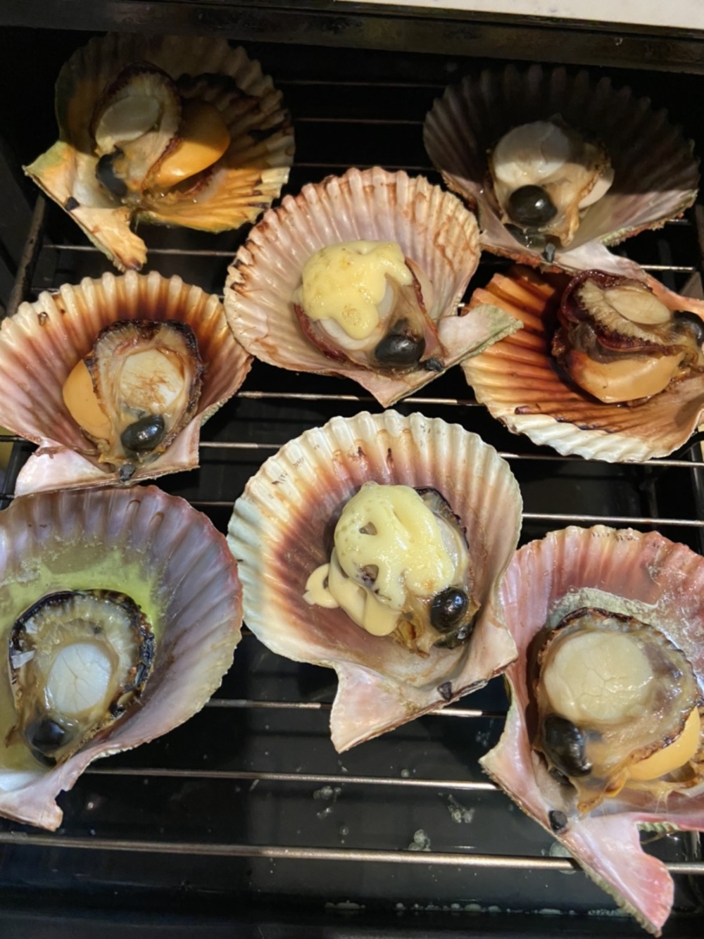 檜扇貝 ヒオウギ貝 アッパ貝 農家漁師から産地直送の通販 ポケットマルシェ