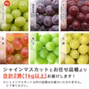 【予約商品・送料無料】山形県産 シャインマスカットと品種お任せぶどう詰合せセット