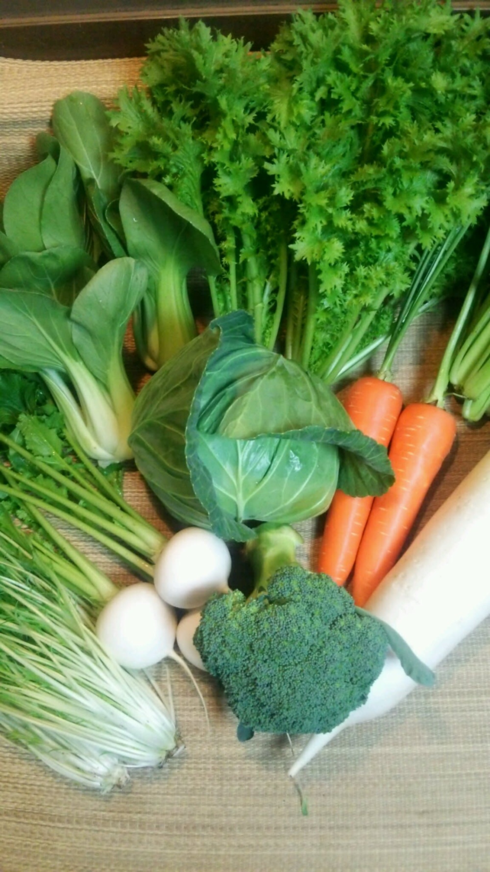 11月～5月　【月1回　】旬の有機野菜の詰め合わせ（8品）〈有機JAS取得〉