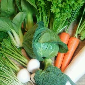 【毎週1回】旬の有機野菜の詰め合わせ クール便（９品）〈有機JAS取得〉