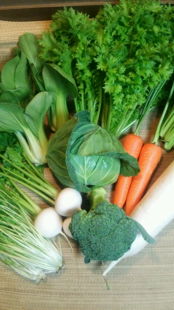 【月1回  11月～5月 】旬の新鮮野菜詰め合わせ（8品）〈農薬化学肥料不使用〉