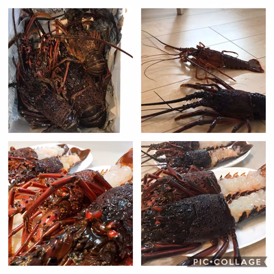 みんなの投稿の画像