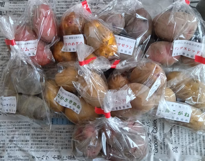 みんなの投稿の画像