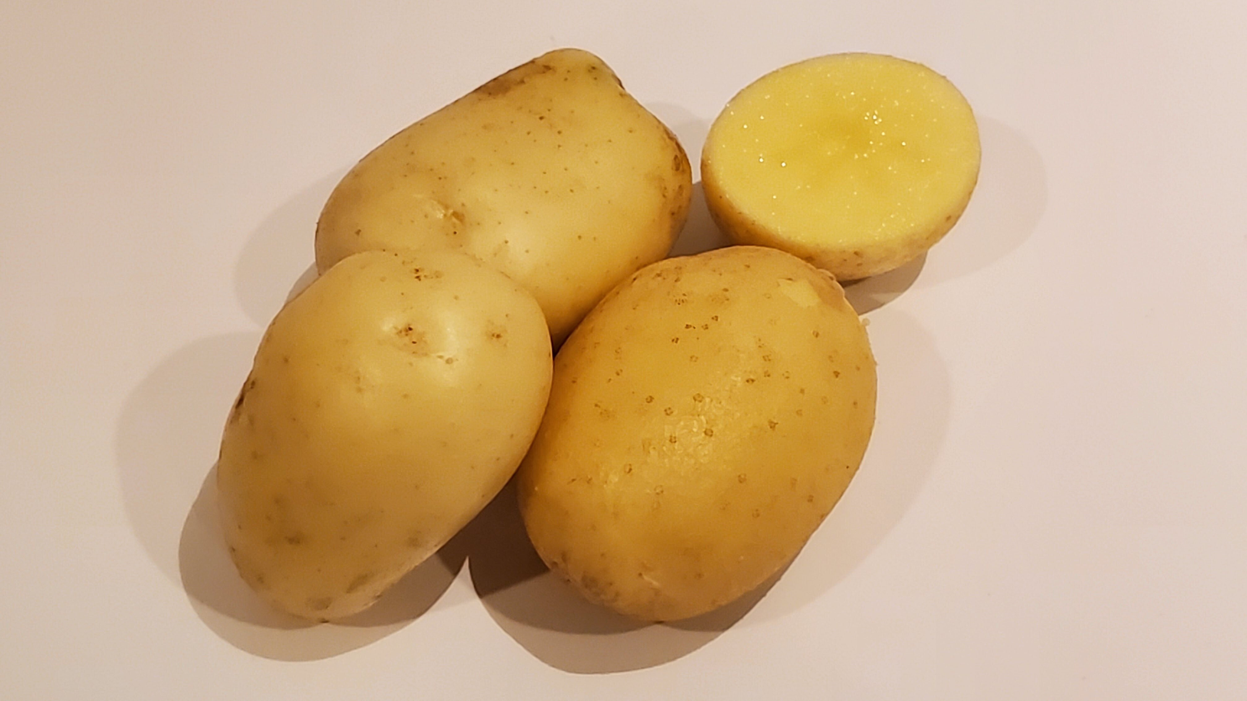 リアル じゃがいも アンティーク ジャガイモ スタンプ ハンコ フランス メークイン レトロ ヴィンテージ 根 根菜 芋 芽 野菜 21春夏新作 根菜