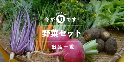野菜セット100種類以上ご用意！農家直売の野菜セット一覧