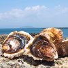 【5月限定】「クマモトオイスター」&「イワガキ」セット【天恵牡蠣】
