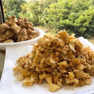 【栽培期間中農薬不使用】天草の福田さん家の菊芋