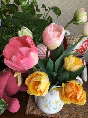 みんなの投稿の画像