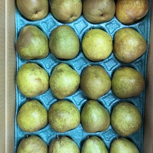 ★お得用★自家用　[食べきりサイズ]ラフランス★ Ｌサイズ　5キロ　20玉