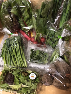 みんなの投稿の画像