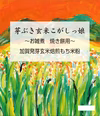 芽ぶき玄米こがしっ娘～お雑煮・焼餅用～　400g　1袋