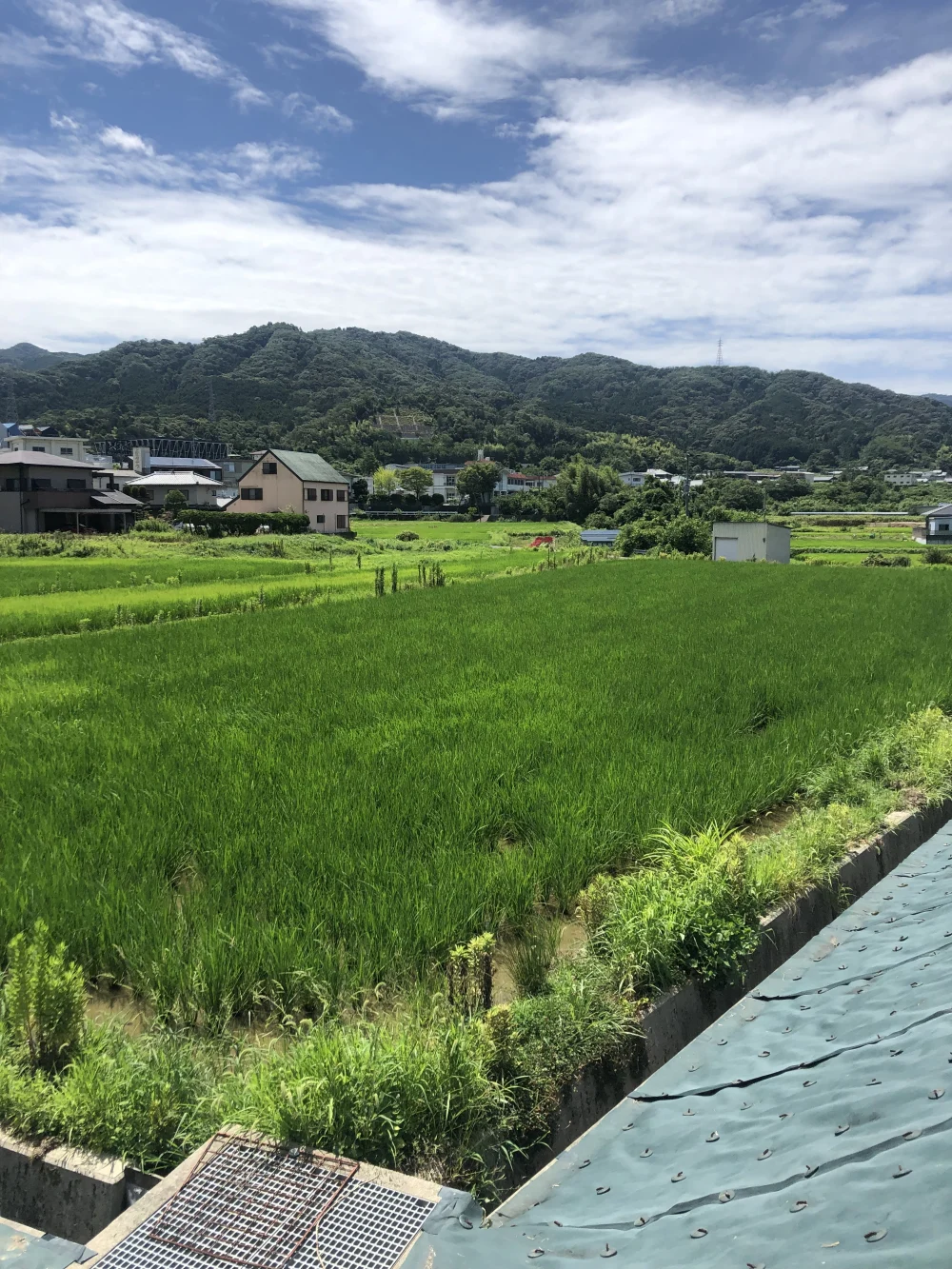 焙煎玄米麺「グルテンフリー」自然栽培米使用