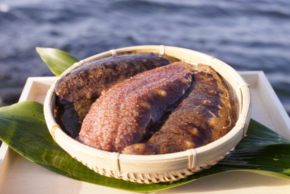 赤ナマコ 海鼠（なまこ）【大阪最南端 岬町産】｜ナマコの商品詳細