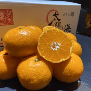 【愛媛県産】みかん屋太陽と海　輝みかん（ご贈答用）