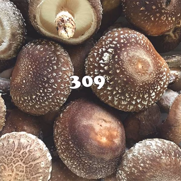 【冷凍でストック食材としても！】おいしいブルしい309