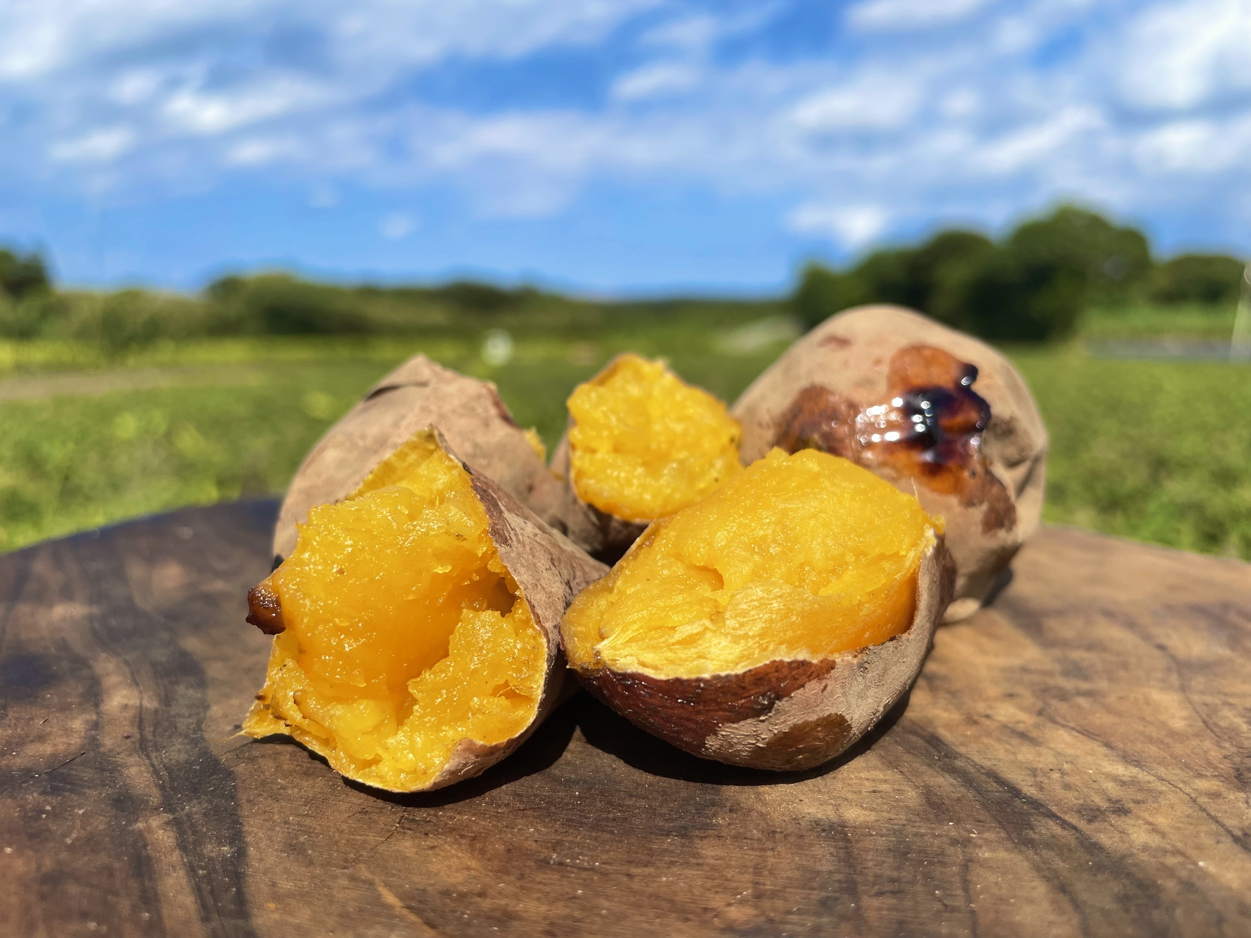 絶品】種子島産 安納芋 Mサイズ｜aimo農園｜さつまいもの商品詳細