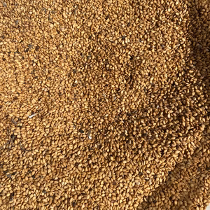 令和4年度産 金ごま 国産金ごま 胡麻 ゴマ