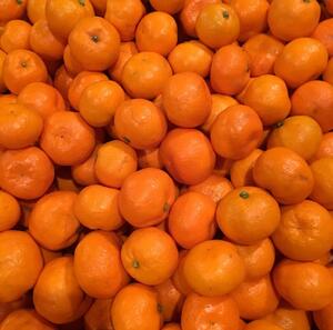 HOME 生産者一覧 竹谷博世