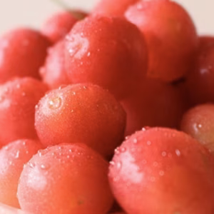 きみちゃん様専用ページ