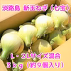 春限定！！その甘さに感激！淡路島新玉ねぎ　３ｋｇ（早生・七宝）