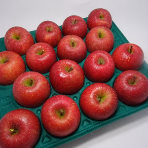 減農薬特別栽培　濃厚サンふじ　5㌔　18玉～16玉