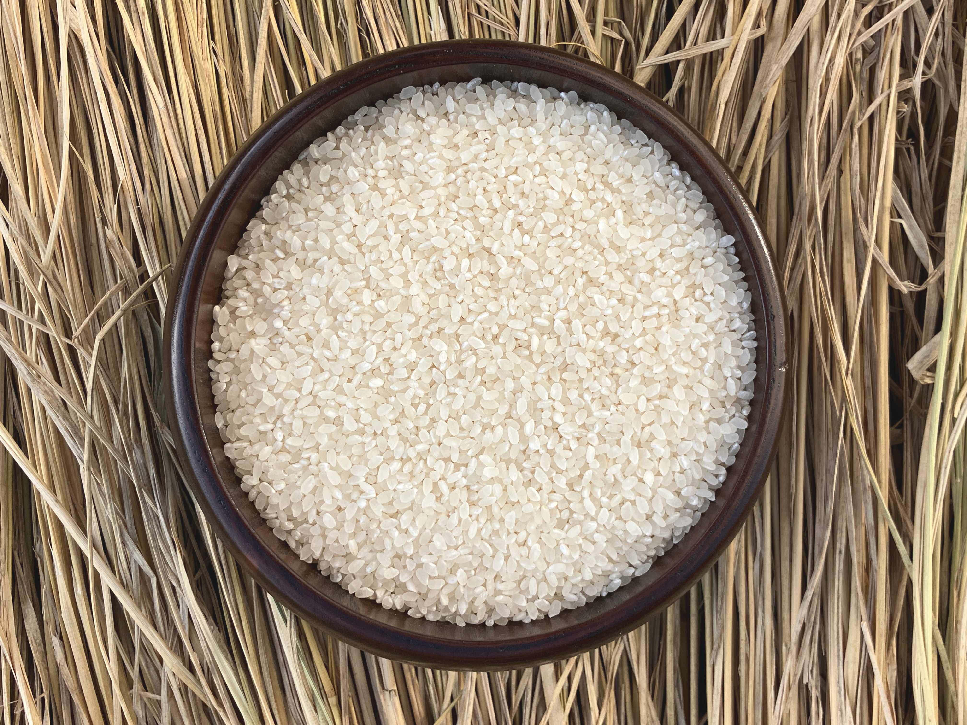 新米2025｜岩手花巻産 ササニシキ 白米10kg｜天日干し限定米｜白米の